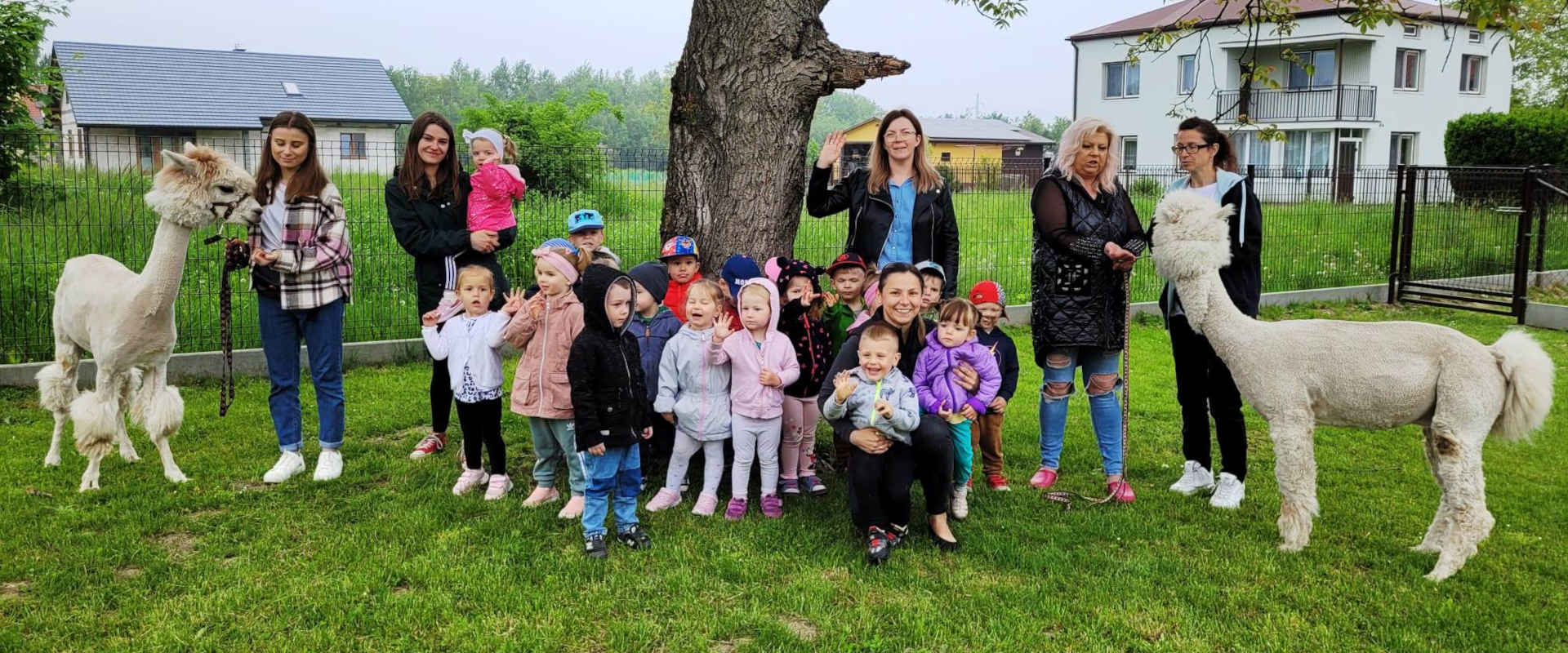 Zdjęcie grupowe dzieci z alpakami